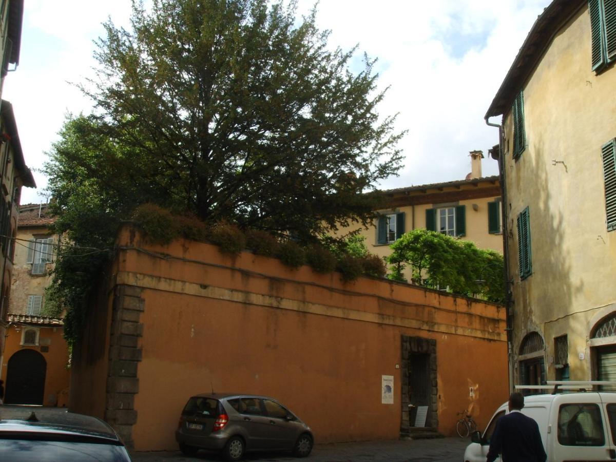Delicious Busdraghi Appartement Lucca